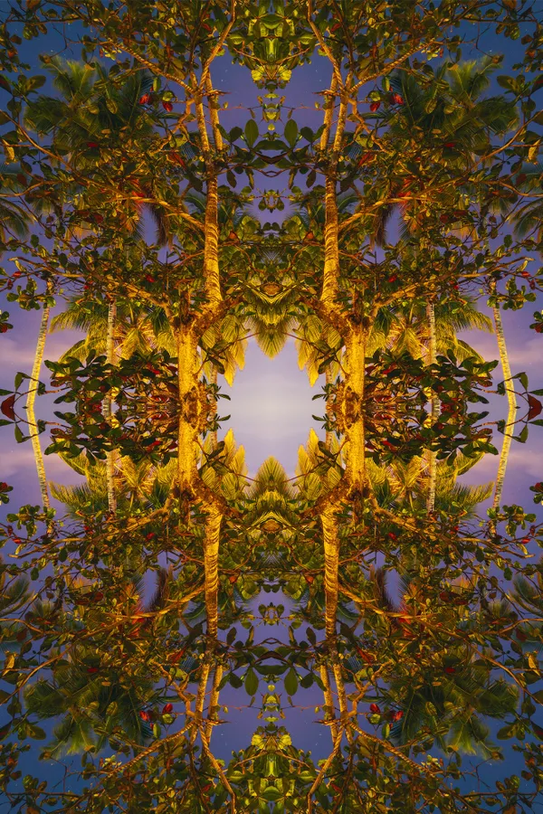 Golden mandala thumbnail