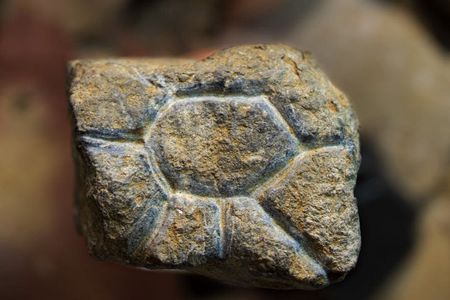 A roughly 20,000-year-old engraved, pocket-sized rock that may depict a sun, eye or flower