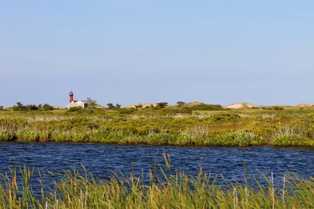 Monomoy Point Light at a distance, Monomoy Wilderness 