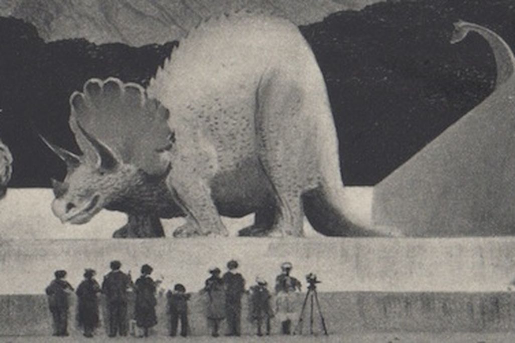The Venopolis Zoo