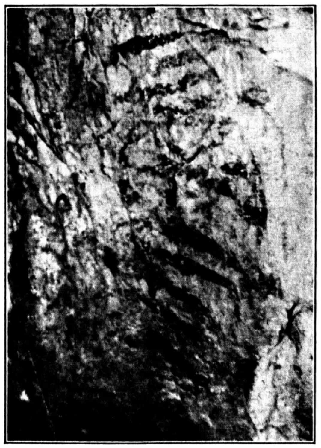 first photo