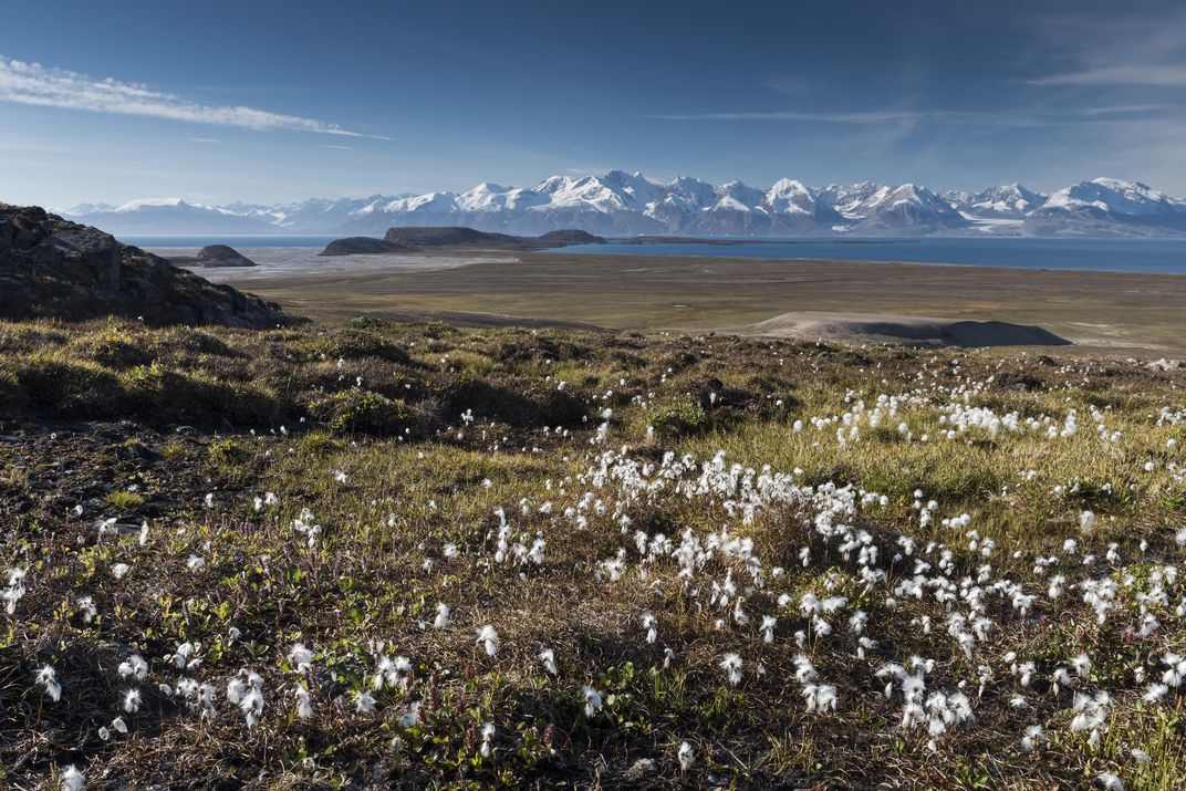 Northeast Greenland National Park