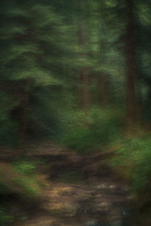 Untitled_060125-1573 thumbnail