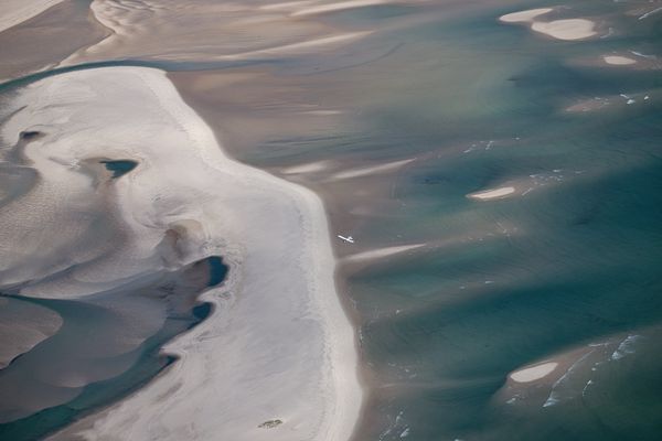 Great White Shark Hunting Off Monomoy National Wildlife Refuge thumbnail