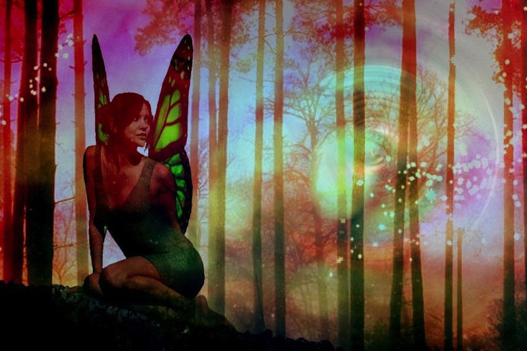 01-15-14-fairies.jpg
