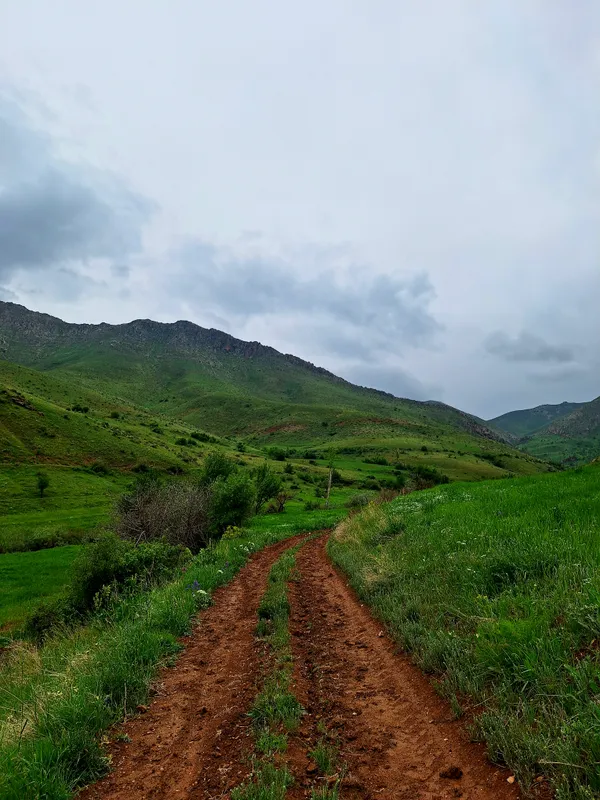 The road is screaming my name. thumbnail