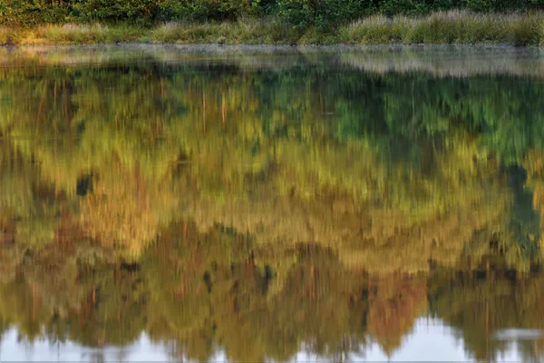 Autumn In The Lake thumbnail