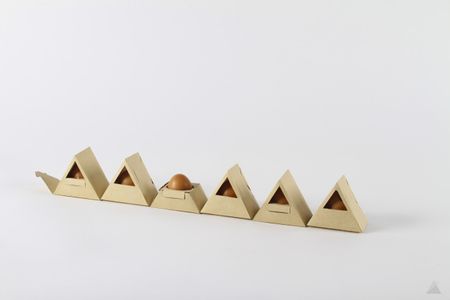 A redesigned egg carton from Gil Rodrigues.