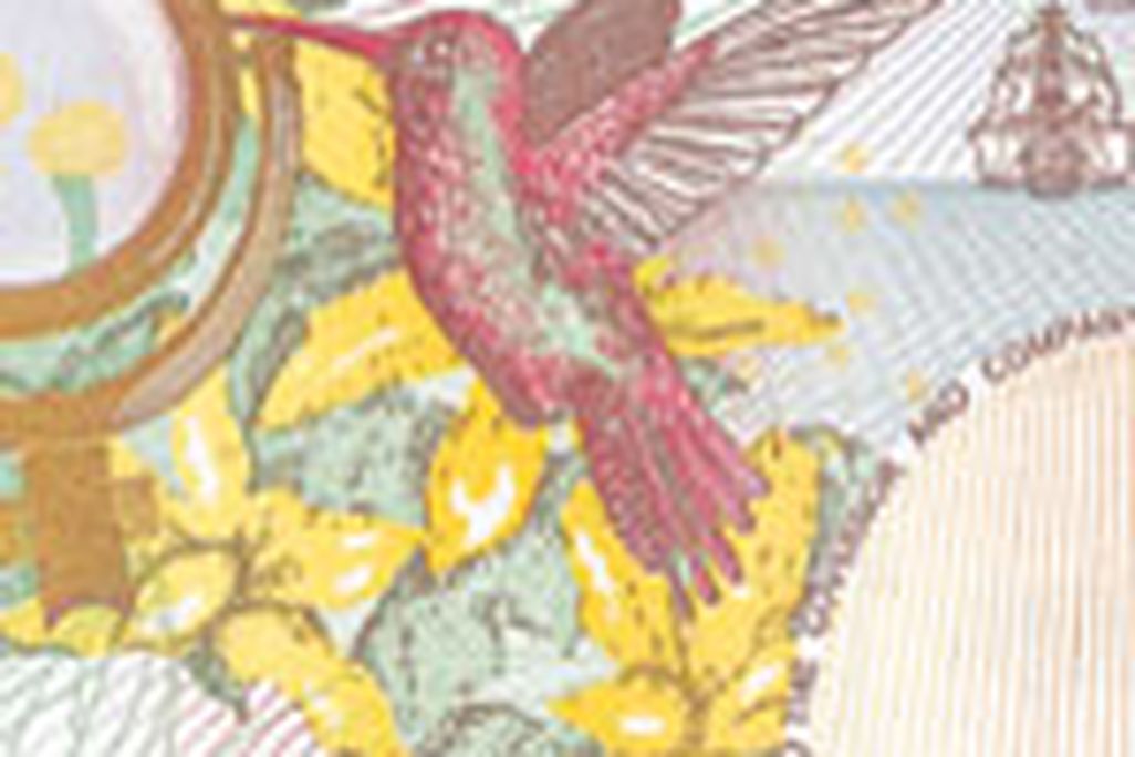 20110520104012hummingbird.jpg