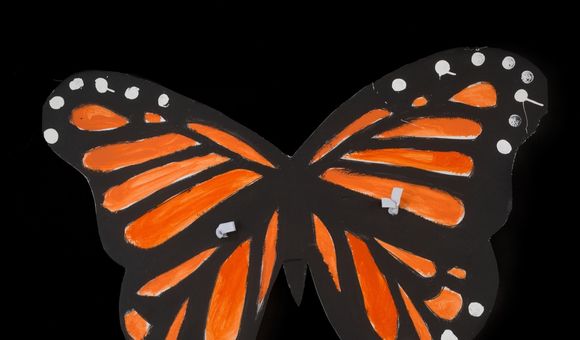 DACA monarch butterfly sign