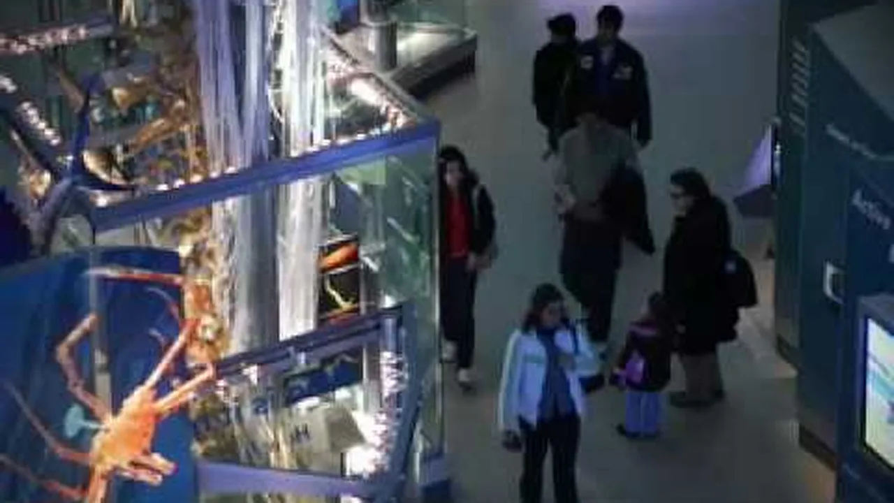 Preview thumbnail for Finding Evolution at the Natural History Museum
