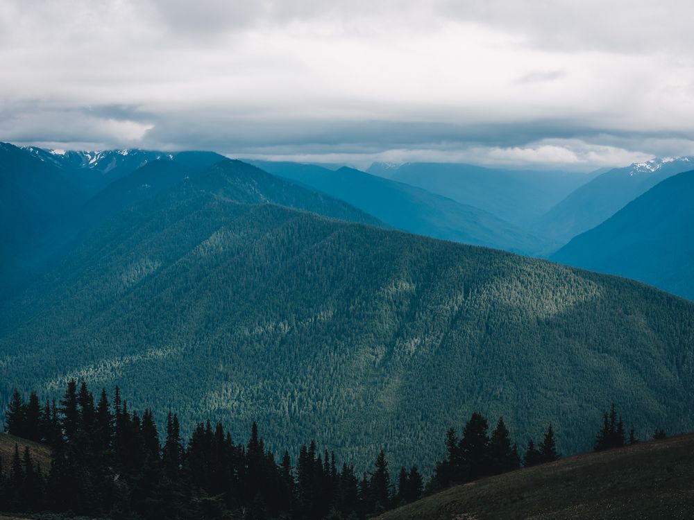 Spotlight on the Ridge | Smithsonian Photo Contest | Smithsonian Magazine