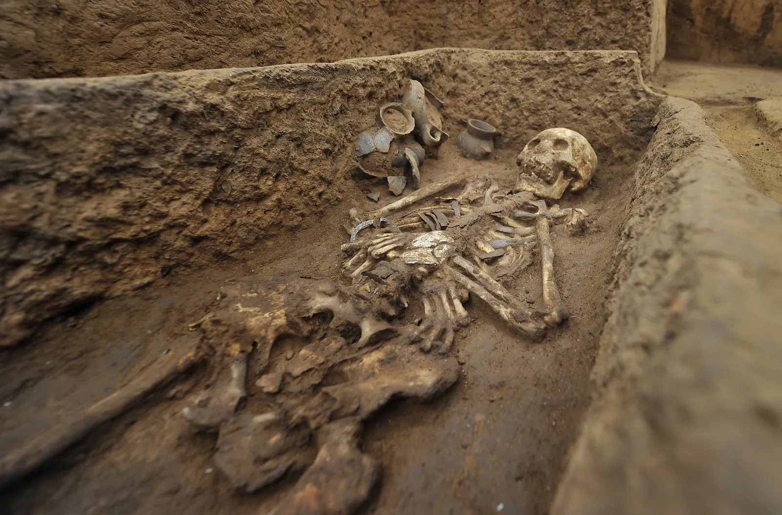 Scientists in Bulgaria found Enormous human bones on the sea floor