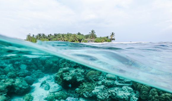 A view of an island with a wave revealing a coral reef underwater. Photo courtesy of Ishan on Unsplash.