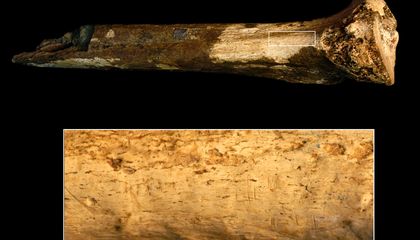 Our Human Relatives Butchered and Ate Each Other 1.45 Million Years Ago