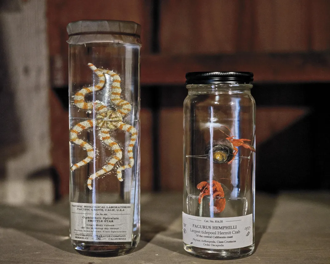specimens