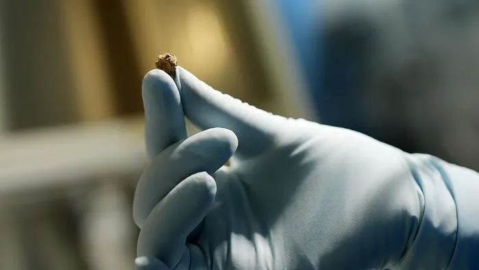 hand