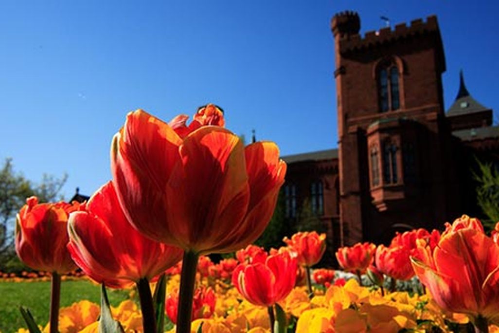 Smithsonian Castle