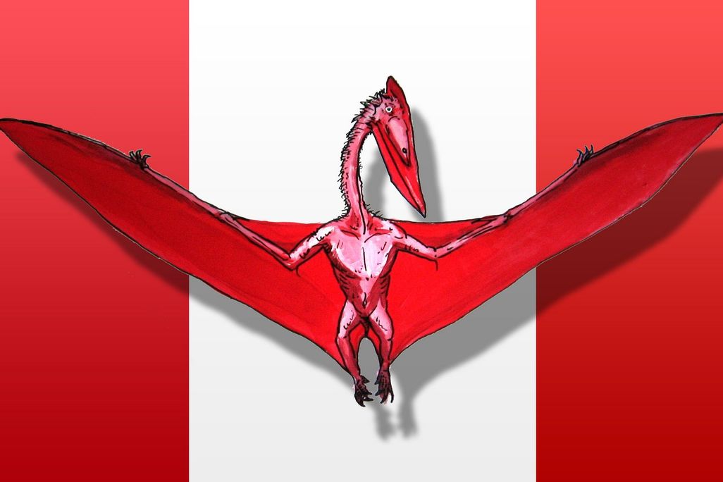 20110520083140canada_day_pterosaur_quetzacoatlus.jpg