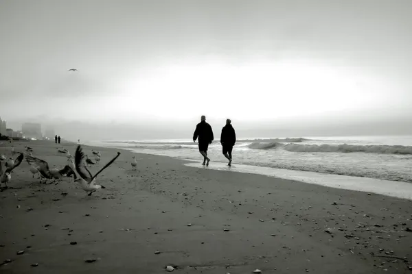 A foggy dawn thumbnail