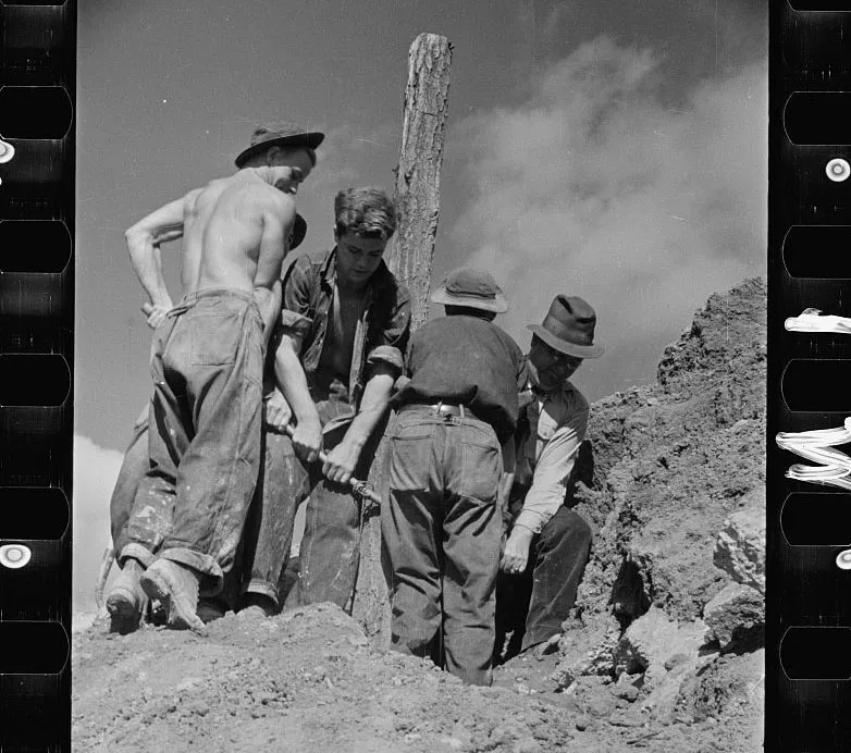 Carl Mydans, crop of CCC (Civilian Conservation Corps) boys at work, Prince George's County, Maryland