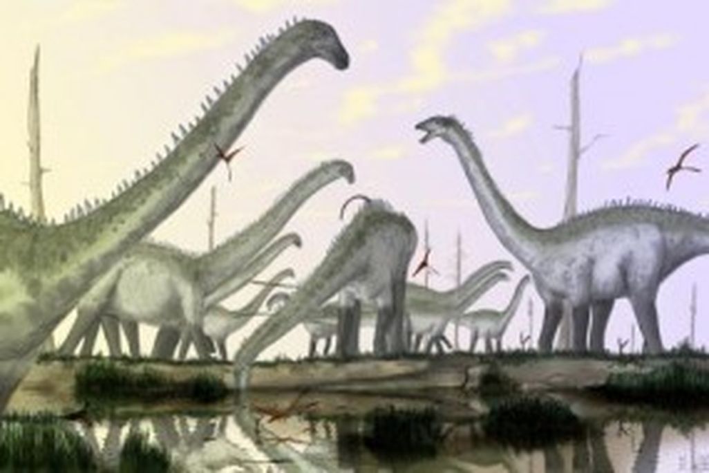 20110520083132witton-diplodocus-sauropods-300x190.jpg