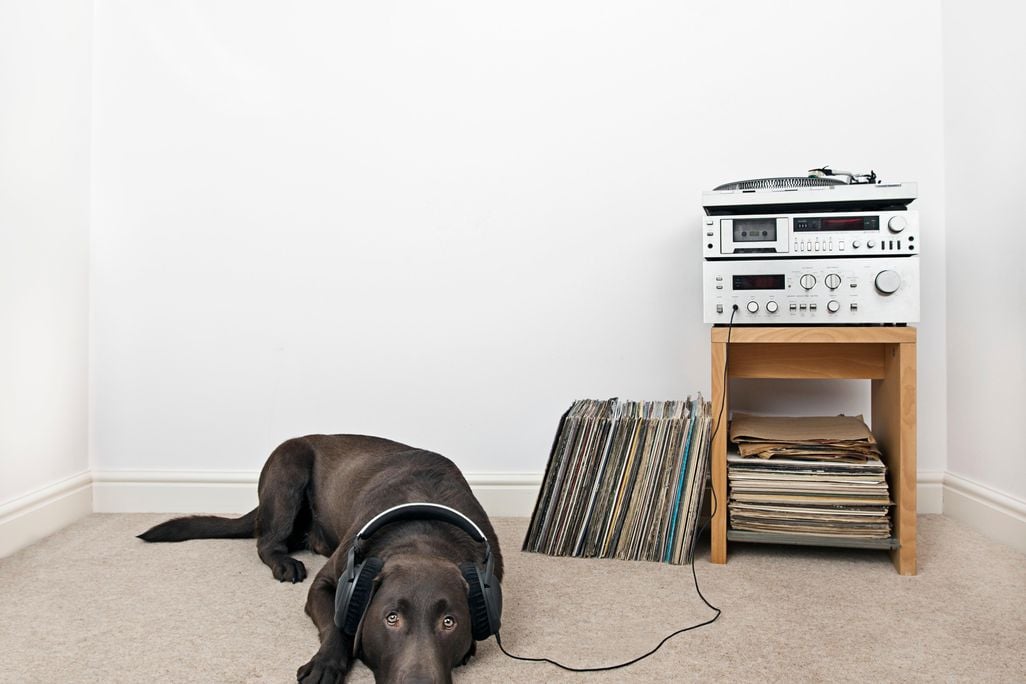 12_17_2014_vinyl.jpg