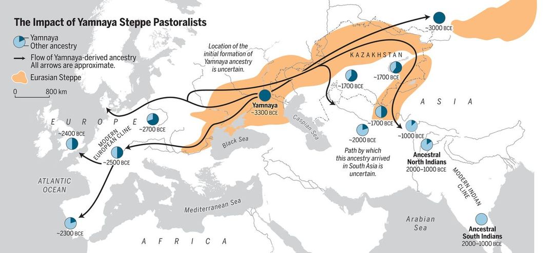 A white and gray map of Europe and Asia with orange highlighting where the Eurasian Steppe population migrated.