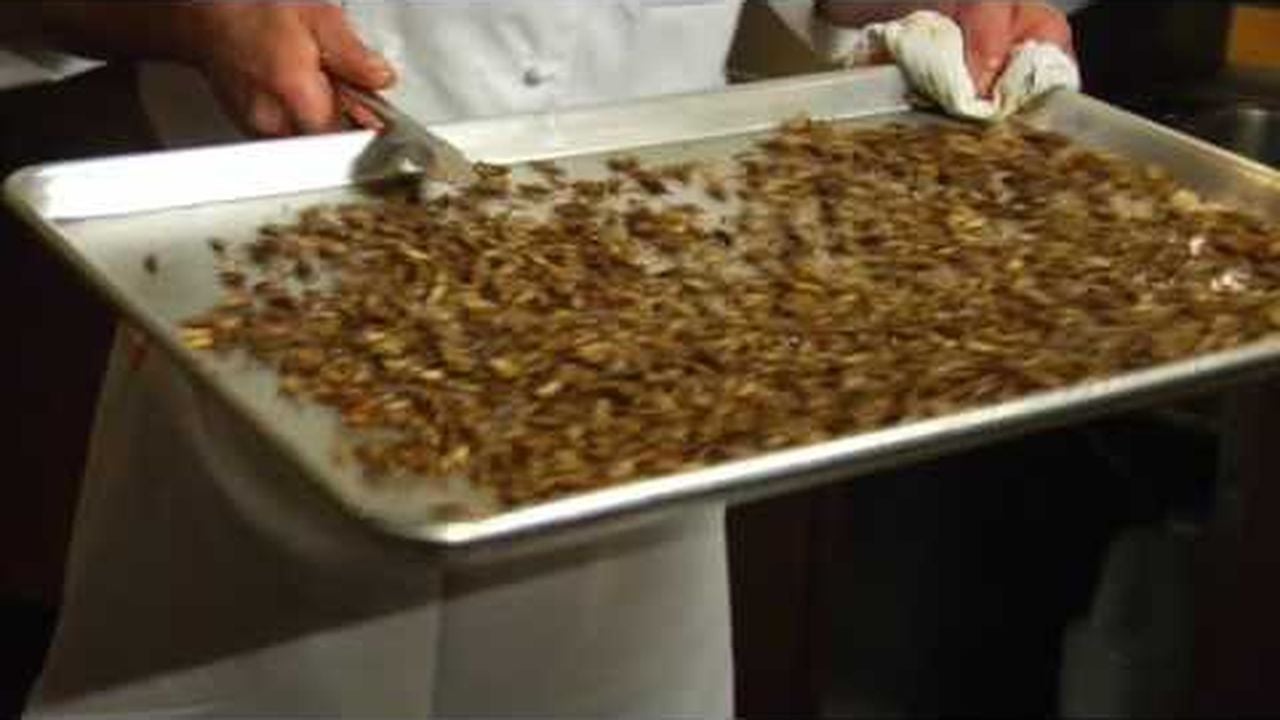 Preview thumbnail for Cooking with Crickets