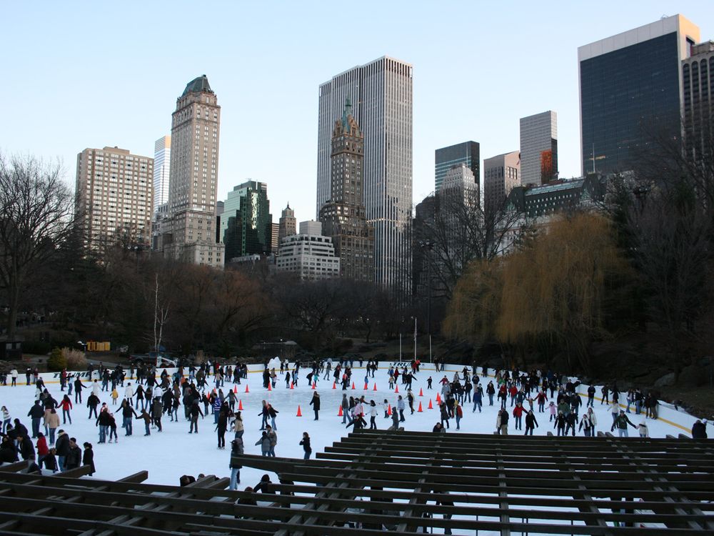 Ice Skating in Central Park | Smithsonian Photo Contest | Smithsonian ...