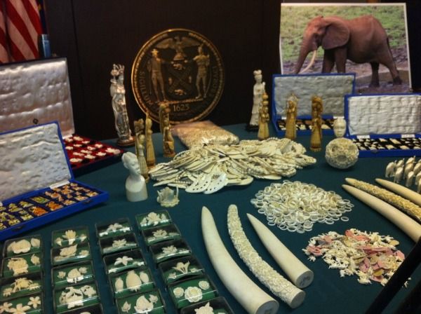 A cache of illegal ivory goods confiscated New York City last year were worth an estimated $2 million.