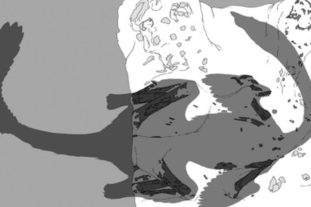 A silhouette of the dinosaur Nemegtomaia barsboldi
