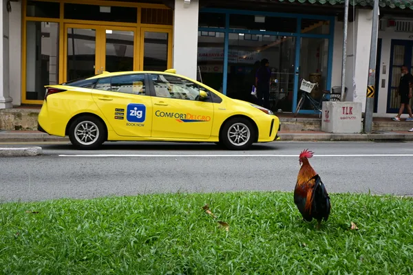 Urban Coexistence thumbnail