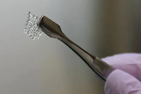 The 3D printed ovaries