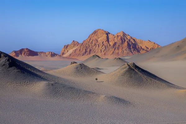 Lonely warrior 1 thumbnail