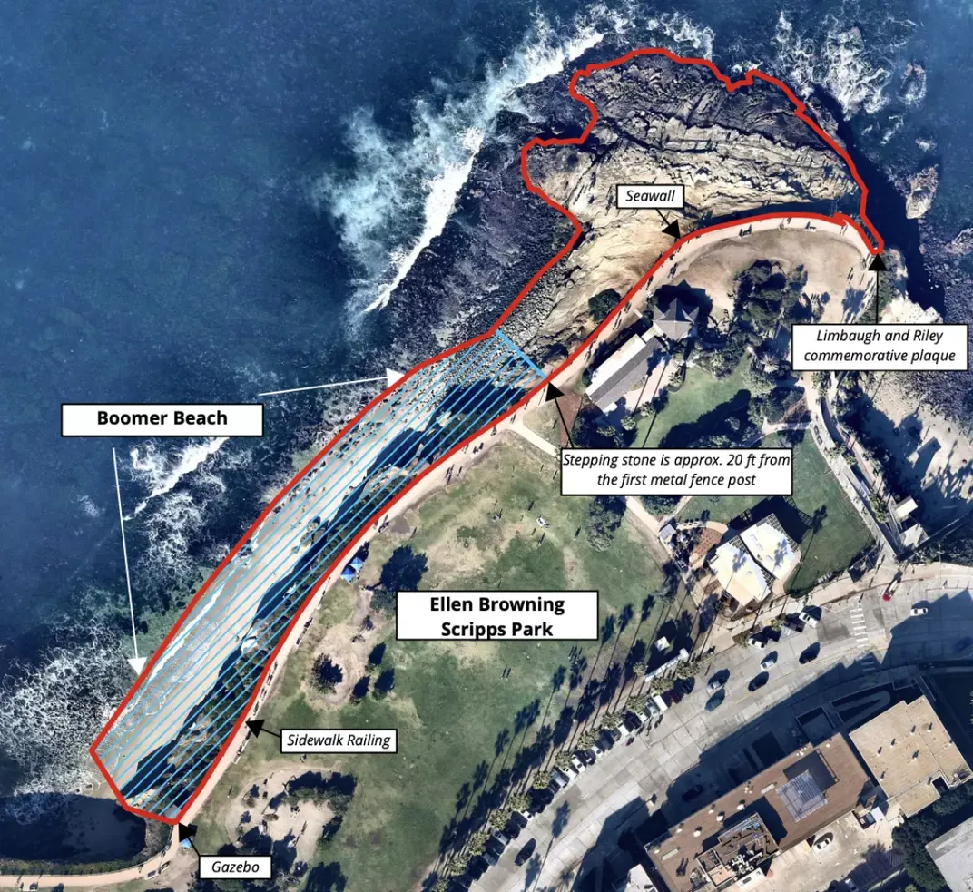 Court Rules San Diego Can Keep Closing La Jolla Beach To Protect Seals