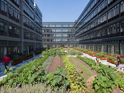 Empress Green is a 4,500-square foot urban farm located at Urby Staten Island, a 900-apartment complex in New York City.