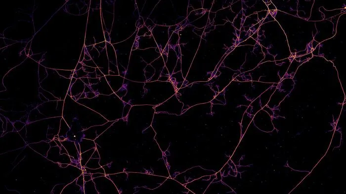 pinkish threads on a dark background