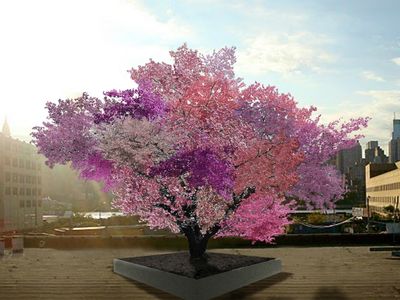 Here is the artist's rendition of what a Tree of 40 Fruit will look like at 10 years.