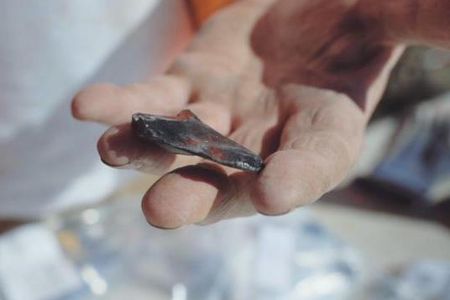 An obsidian flake tool found at Eastland Port in Gisborne, New Zealand, is one of several artifacts discovered at the site of a 14th century Maori village.