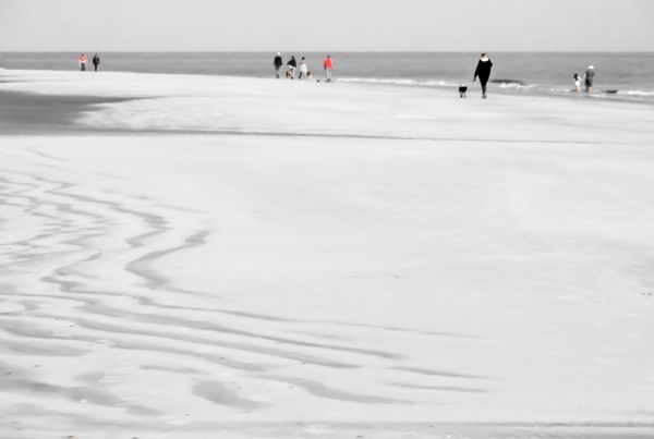 Day at the Beach thumbnail