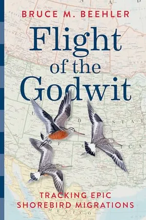 Preview thumbnail for 'Flight of the Godwit: Tracking Epic Shorebird Migrations