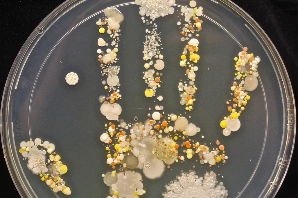 microbe handprint