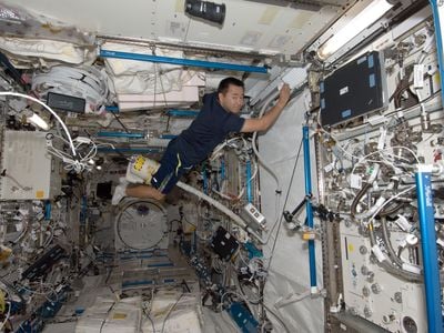 Japan Aerospace Exploration Agency astronaut Aki Hoshide uses a vacuum cleaner aboard the ISS. A new study suggests the space station&#39;s sterility may be harmful to astronauts&#39; health.