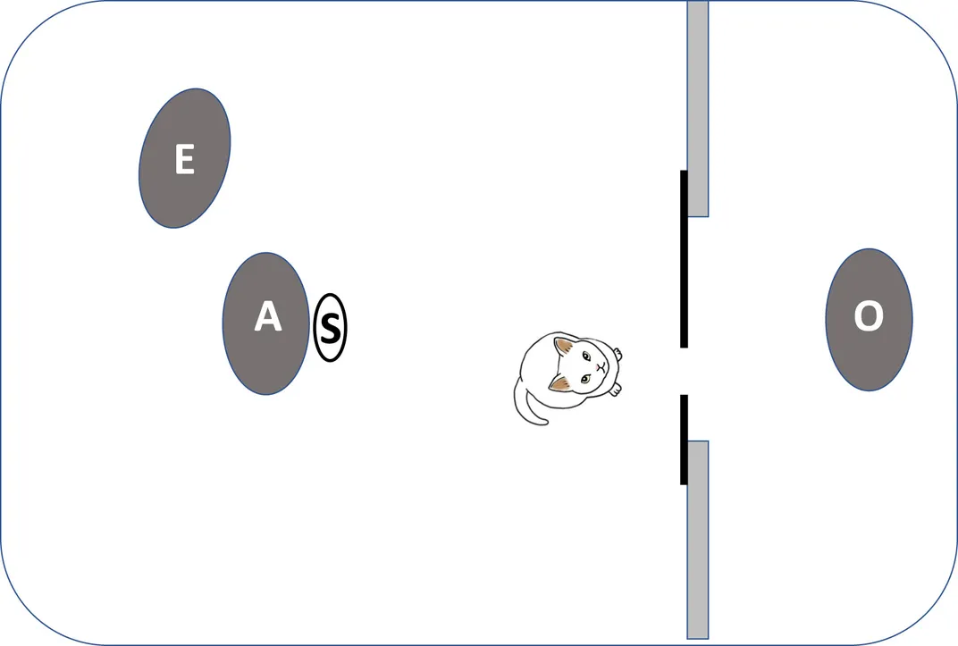 A diagram showing the experimental setup