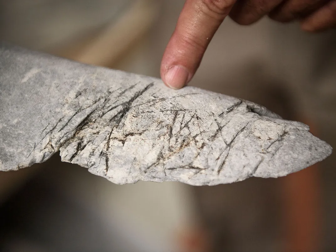 Gray Whale Rib Bone