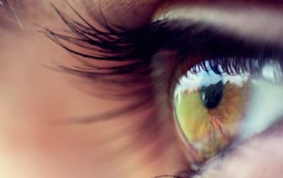 What can eye-tracking teach us?