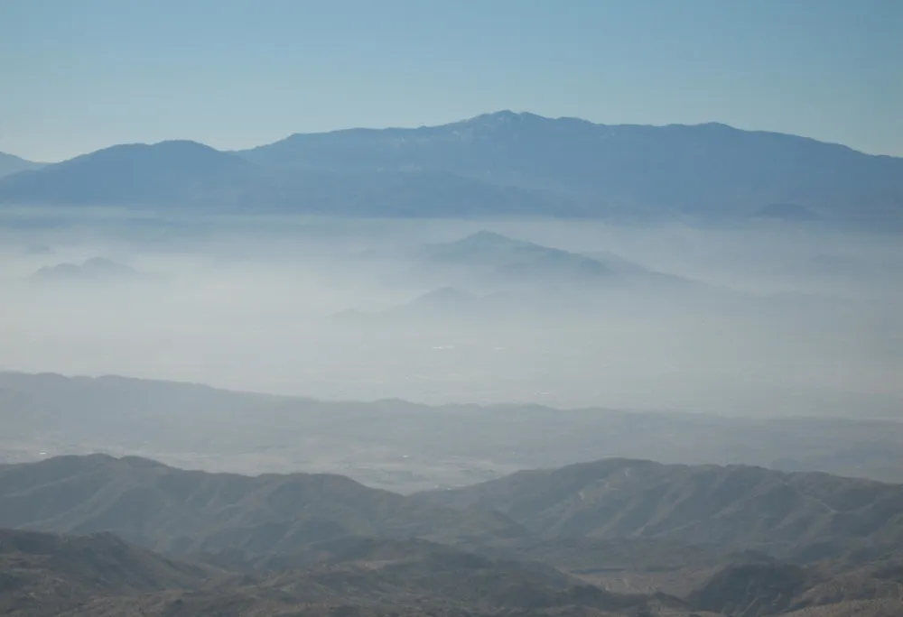 Joshua Tree Haze