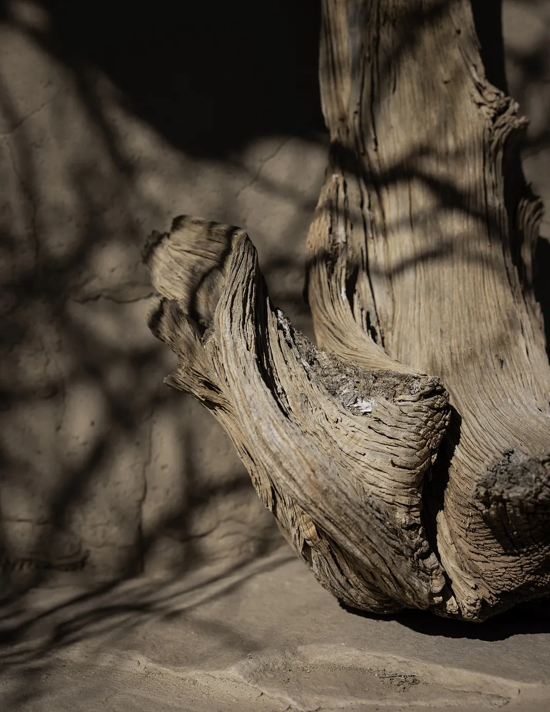 Wood