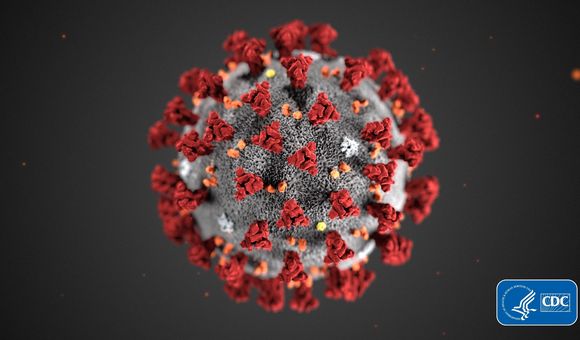 An illustration of the new coronavirus. Coronaviruses are named for the spikes on their outer surface, which look like points on a crown. (CDC)